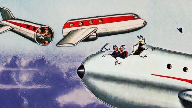 10 Funniest The Far Side Comic Strips About Airplanes and Pilots, Ranked