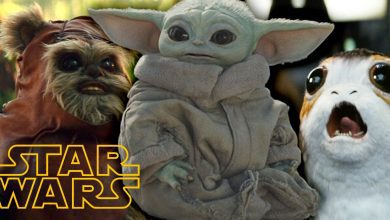 The 15 Cutest Star Wars Creatures