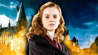 The Best Hermione Granger Quotes in Harry Potter