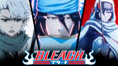 The 20 Best Bankai Transformations In Bleach