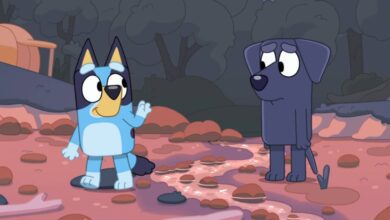 Bluey Creator Announces He’s Stepping Away From the Series