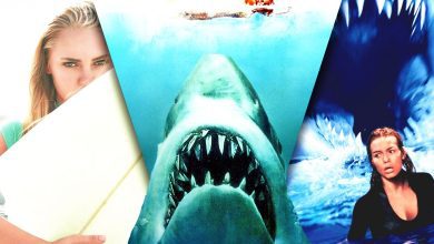 12 Scary Shark Movies Inspired By Real Events