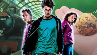 Harry Potter Plot Holes That Don't Actually Matter