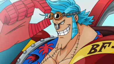 One Piece Actor Hilariously Scolds Fans Following Retirement Announcement