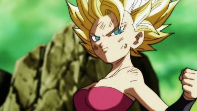 Dragon Ball Super: 10 Most Underrated Tournament of Power Fighters, Ranked