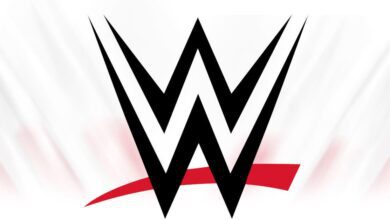 Injured WWE Superstar Makes Surprise Return with New Look