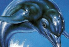 Clássico 'Ecco The Dolphin' pode estar retornando após 25 anos, indica registro da Sega