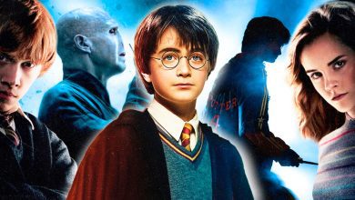 'I Want It to Be Kind of Creepy': Fight Club Director Reveals His Pitch for a Harry Potter Film