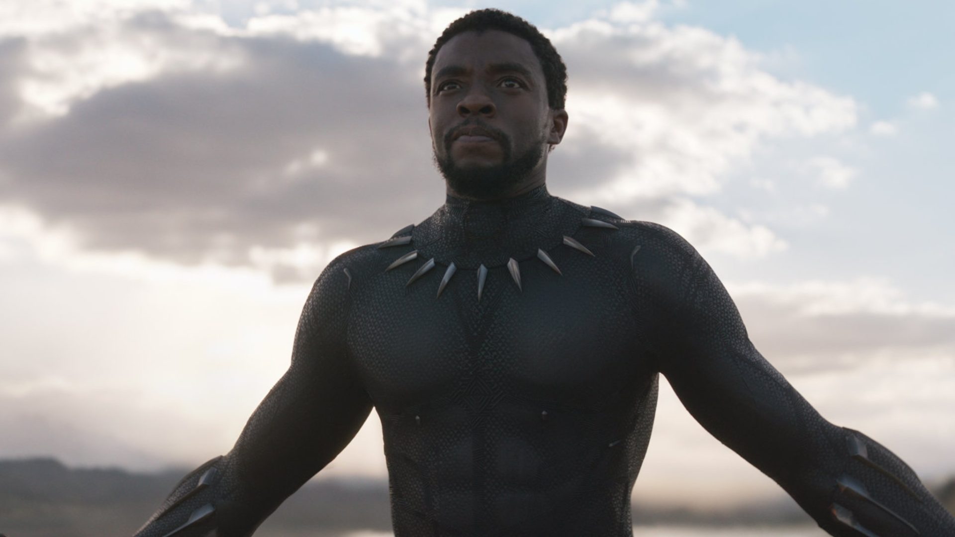 New Black Panther Rumor Has Marvel Fans Fuming (But Some Are Happy With It)