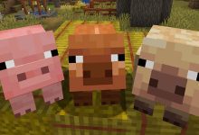 After 15 Years, Minecraft Gets New Pigs