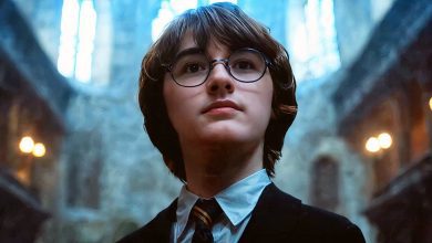 Max's Harry Potter Reboot Series Imagined by Concept Trailer