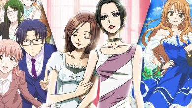 The 24 Best Adult Romance Anime